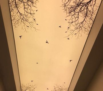 سقف کاذب خانه