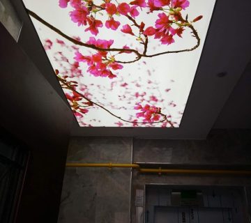 هزینه سقف کشسان