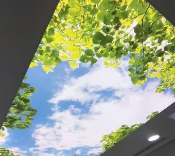 قیمت آسمان مجازی