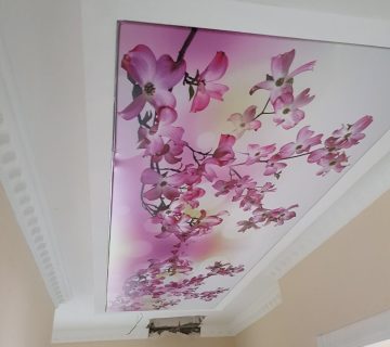 قیمت سقفهای کشسان