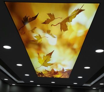 قیمت سقف کاذب کشسان