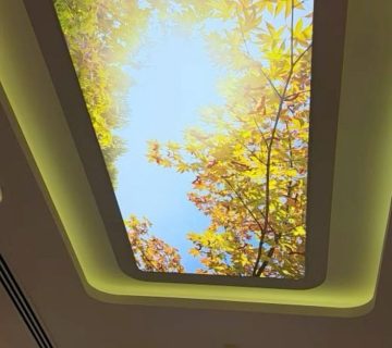 قیمت سقف کشسانی