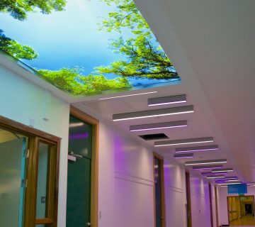 قیمت سقف آسمان مجازی